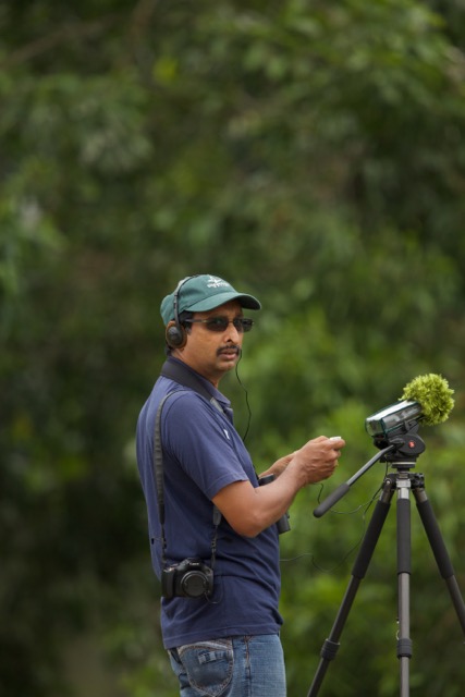 Heronry at Kimbulawala, April 2015. Photo by Palitha Antony