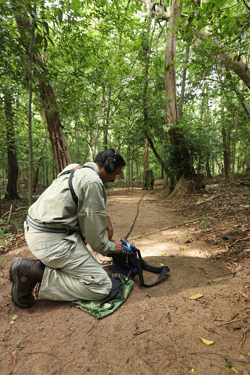 Sigiriya, June 2020. Photo by Uditha Hettige